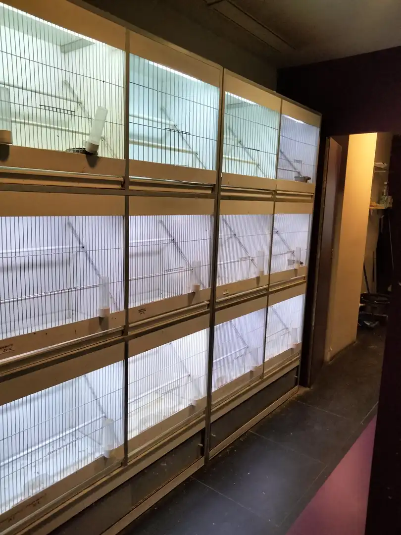 Business premises to rent in Centro, imagen 8