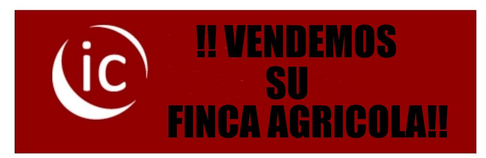 Land for sale in Linares