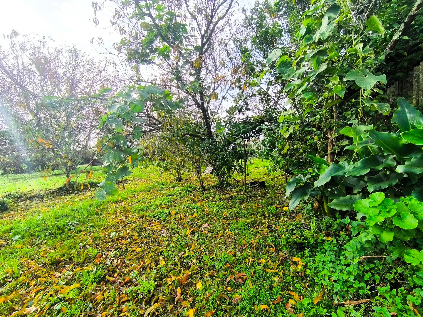 Casa o xalet en venda a Rúa do Espiño, 139, A Malata - Catabois - Ciudad Jardín