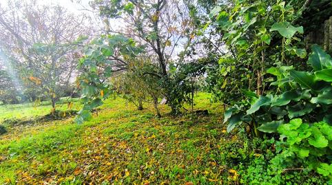Foto 2 de Casa o xalet en venda a Rúa Do Espiño, 139, A Malata - Catabois - Ciudad Jardín, A Coruña