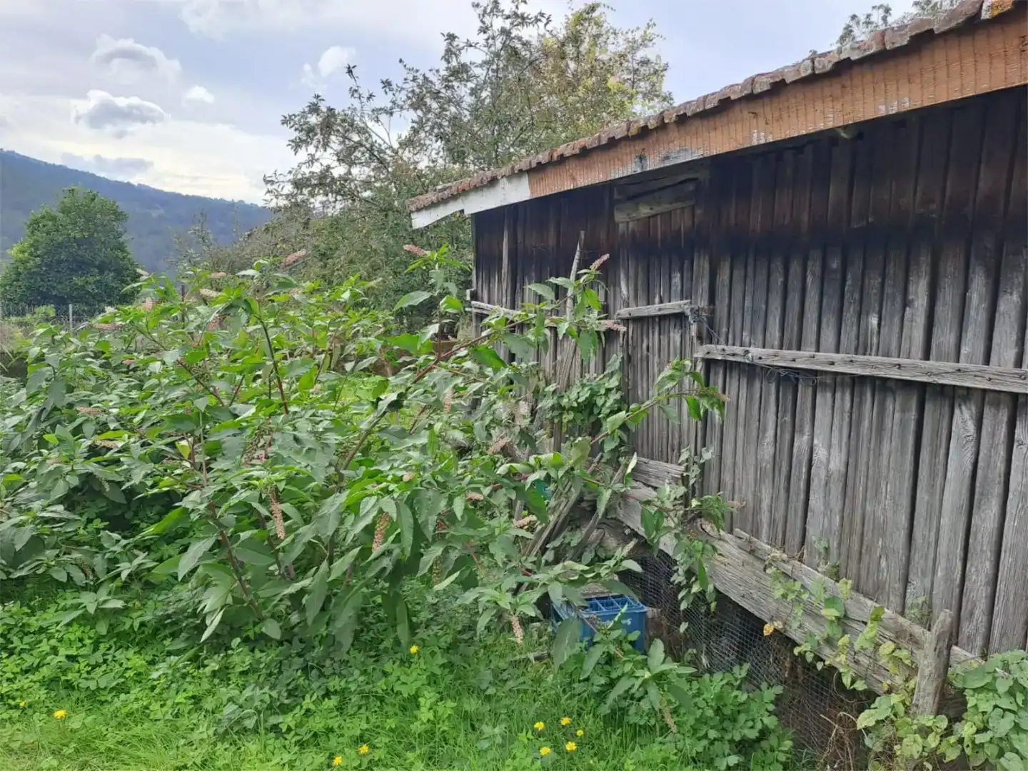 Casa adosada en venda en Quintela de Leirado amb Jardí privat, Traster i Balcó