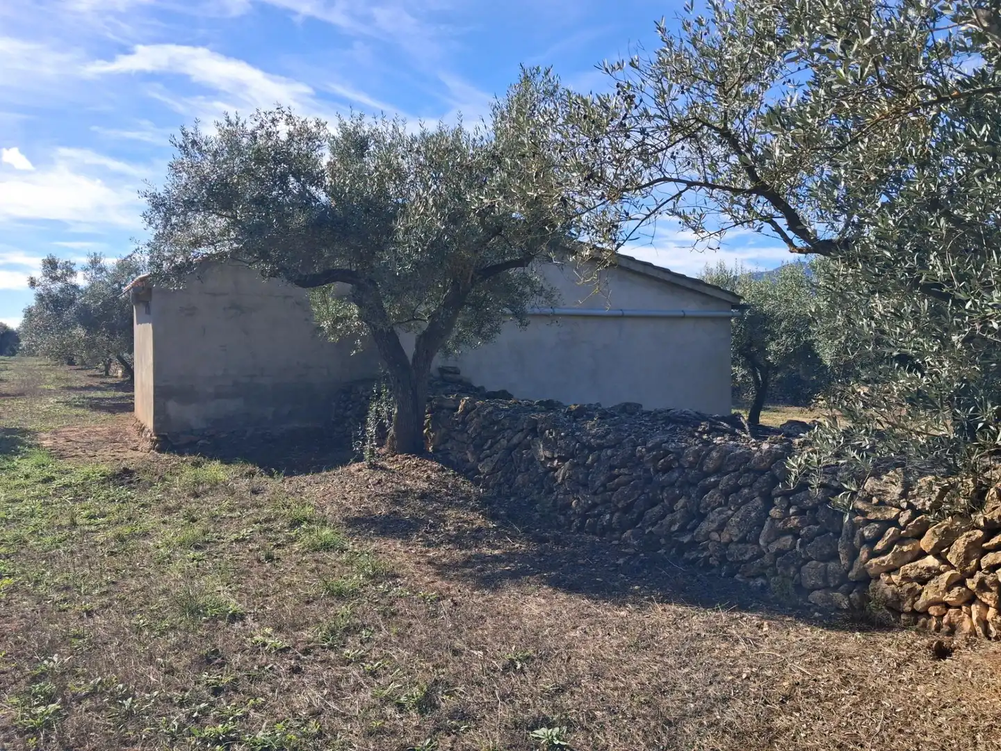Terrain rustique à vendre à Polígono 6 Paraje 109 LAS PLANAS, imagen 37