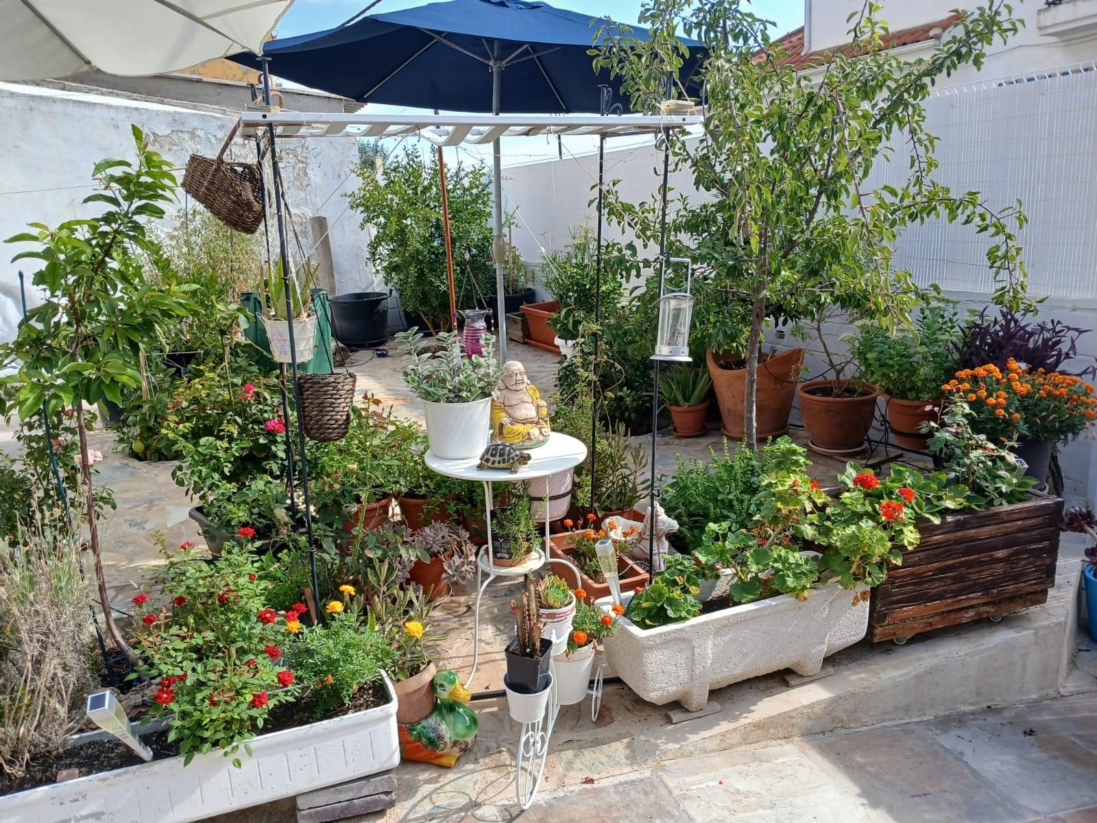 Terraza de Casa o chalet en venta en Titulcia con Amueblado