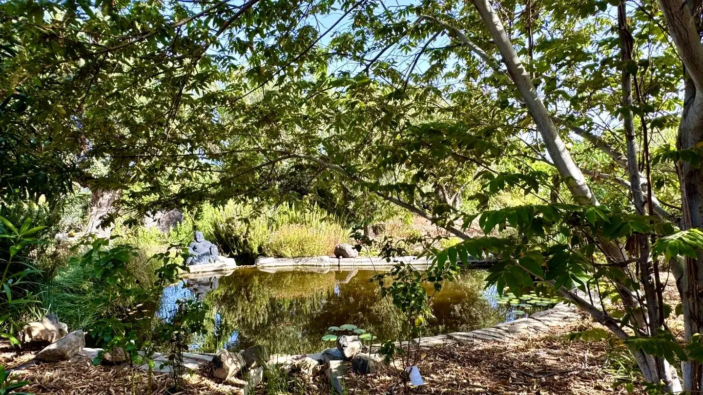 Jardí de Finca rústica en venda en Buenavista del Norte amb Jardí privat i Terrassa