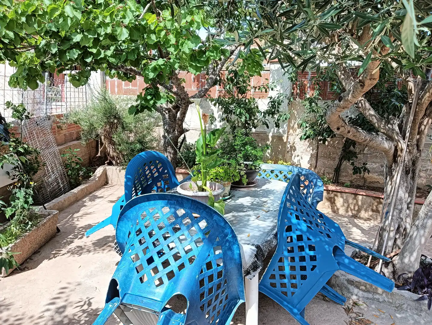 Garten von Haus oder Chalet zum Verkauf in La Bisbal del Penedès mit Heizung, Privatgarten und Terrasse
