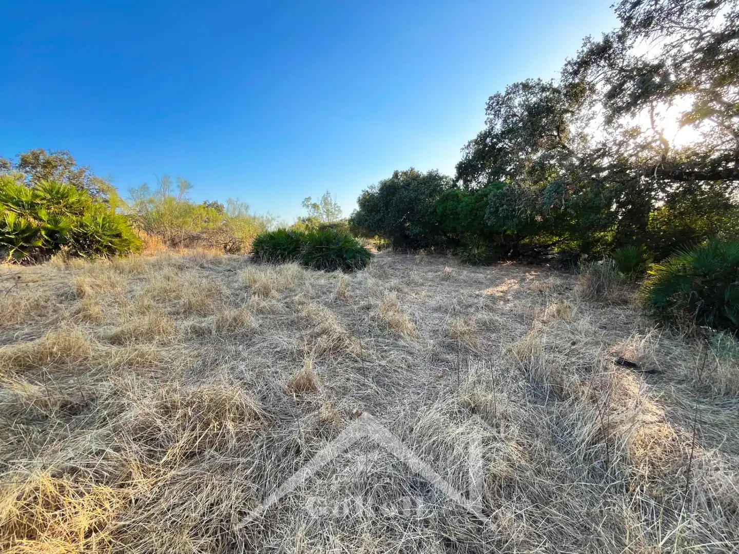 Terreno en venta en Guillena