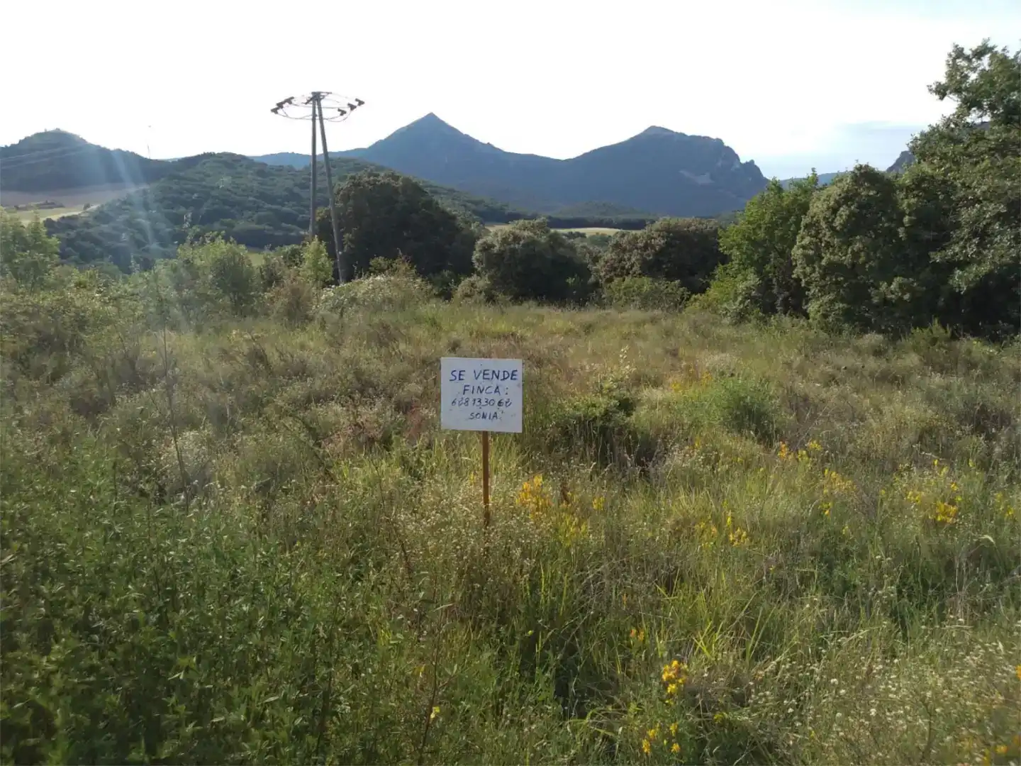 Terreno en venta en Valle de Ollo / Ollaran