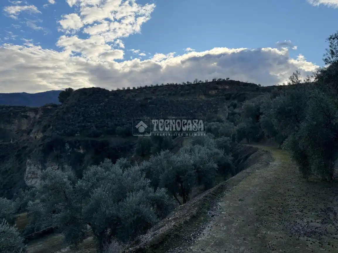 Terreno rustico in vendita a El Valle, imagen 22
