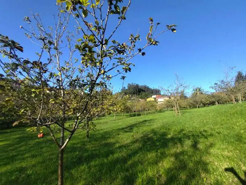 Residential for sale in Proaza, Asturias