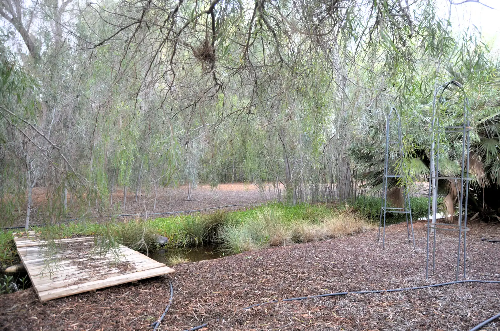Jardí de Casa o xalet en venda en Pájara amb Jardí privat, Terrassa i Piscina