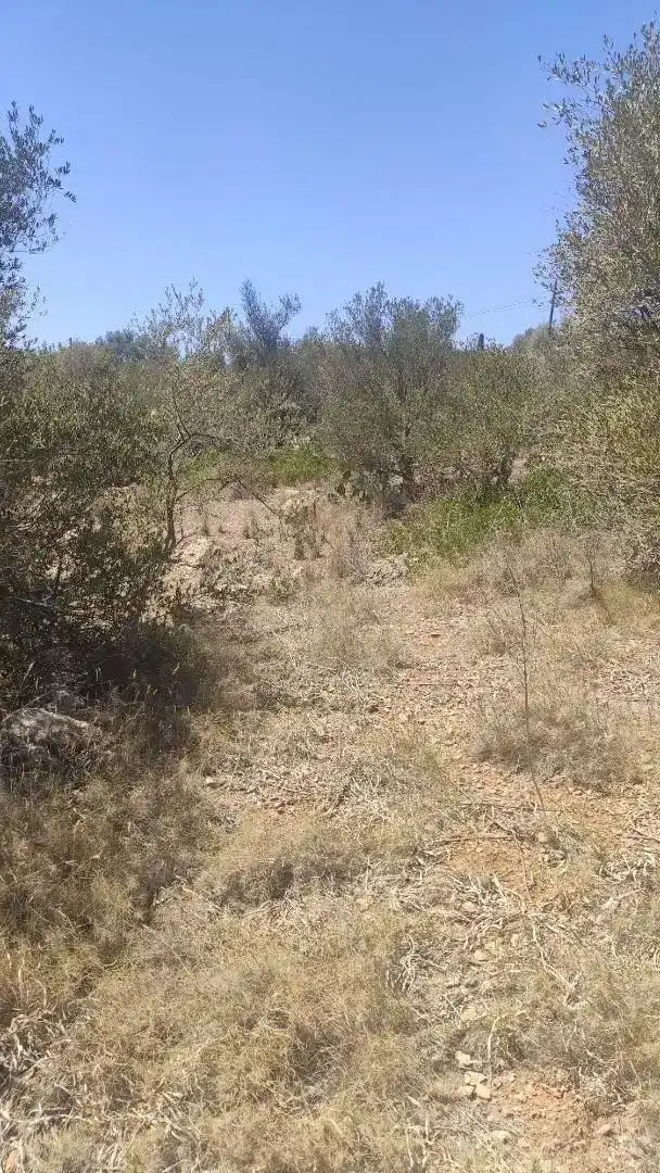 Terreny en venda en Marratxí
