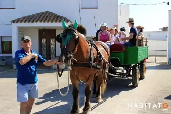 House with garden for sale in Ivars d'Urgell, imagen 2