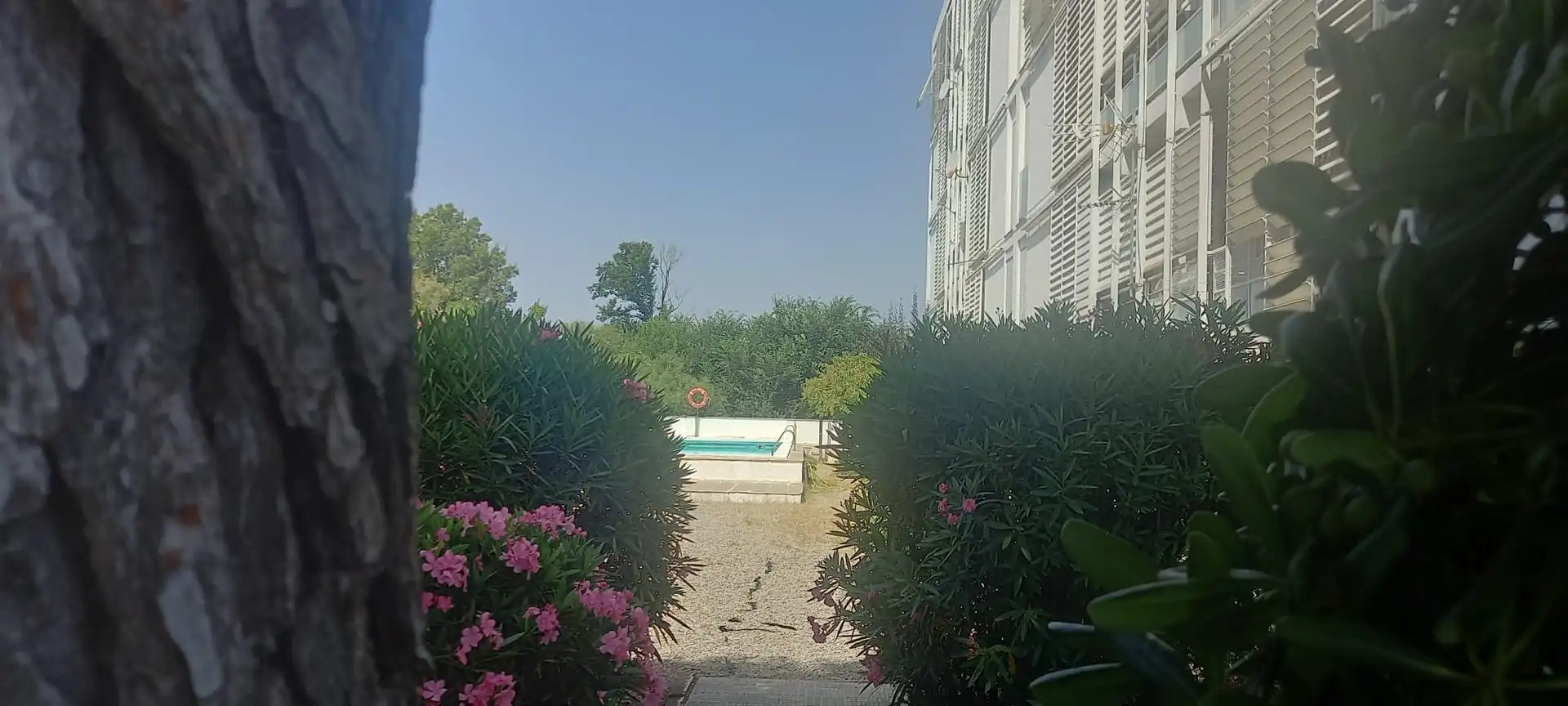 Jardí de Apartament en venda en Roses amb Jardí privat