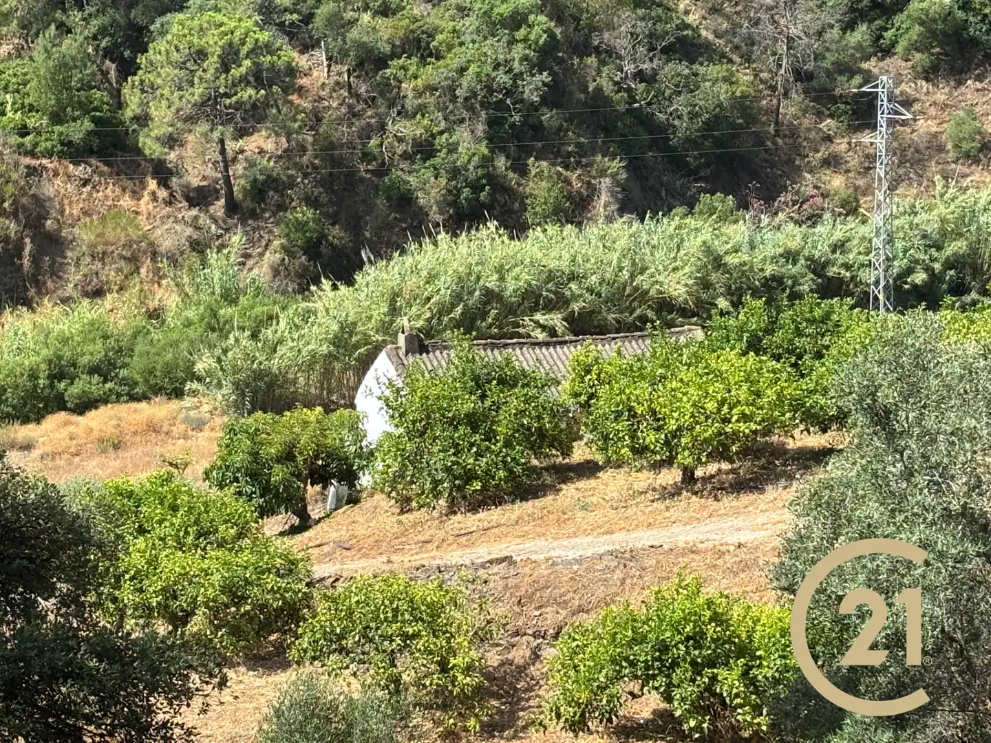 Exterior view of Land for sale in Estepona
