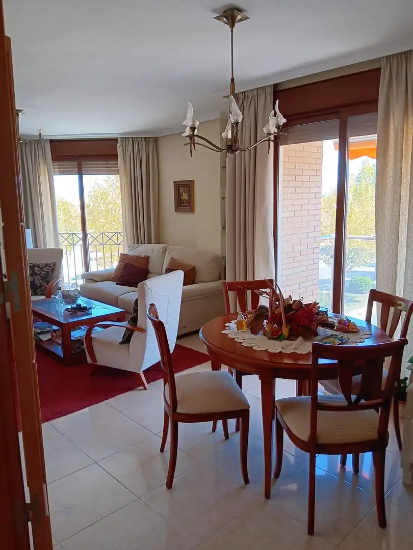 Sala d'estar de Pis en venda en Pilar de la Horadada ciudad