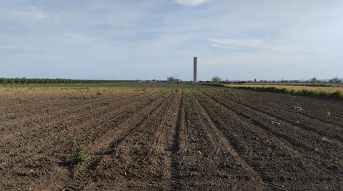 Photo 2 of Land for sale in N/a, -1, Torre de la Reina, Sevilla