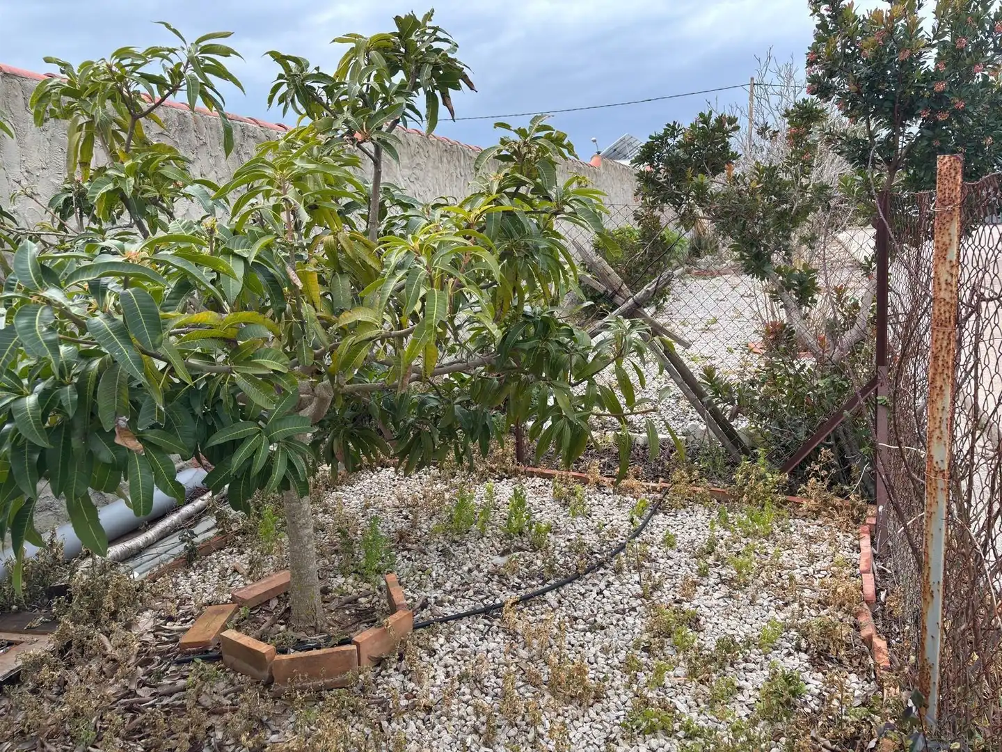 Casa rústica amb jardí en venda a Vejer, imagen 28