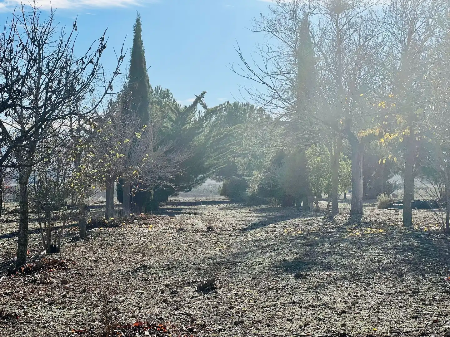 Terreny residencial en venda a Cañada, imagen 13