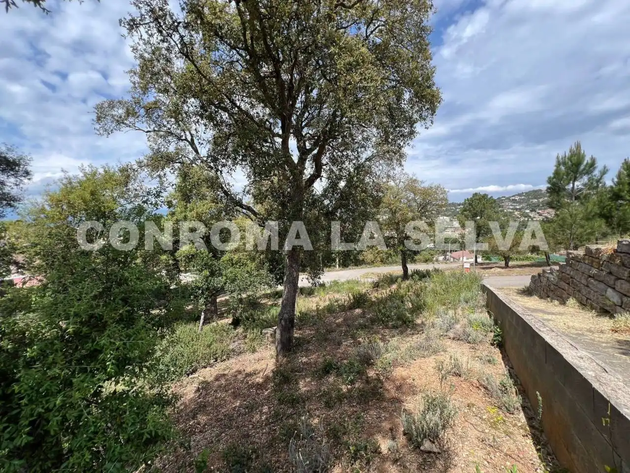 Rustikales Grundstück zum Verkauf in Lloret Residencial - Montlloret, imagen 6
