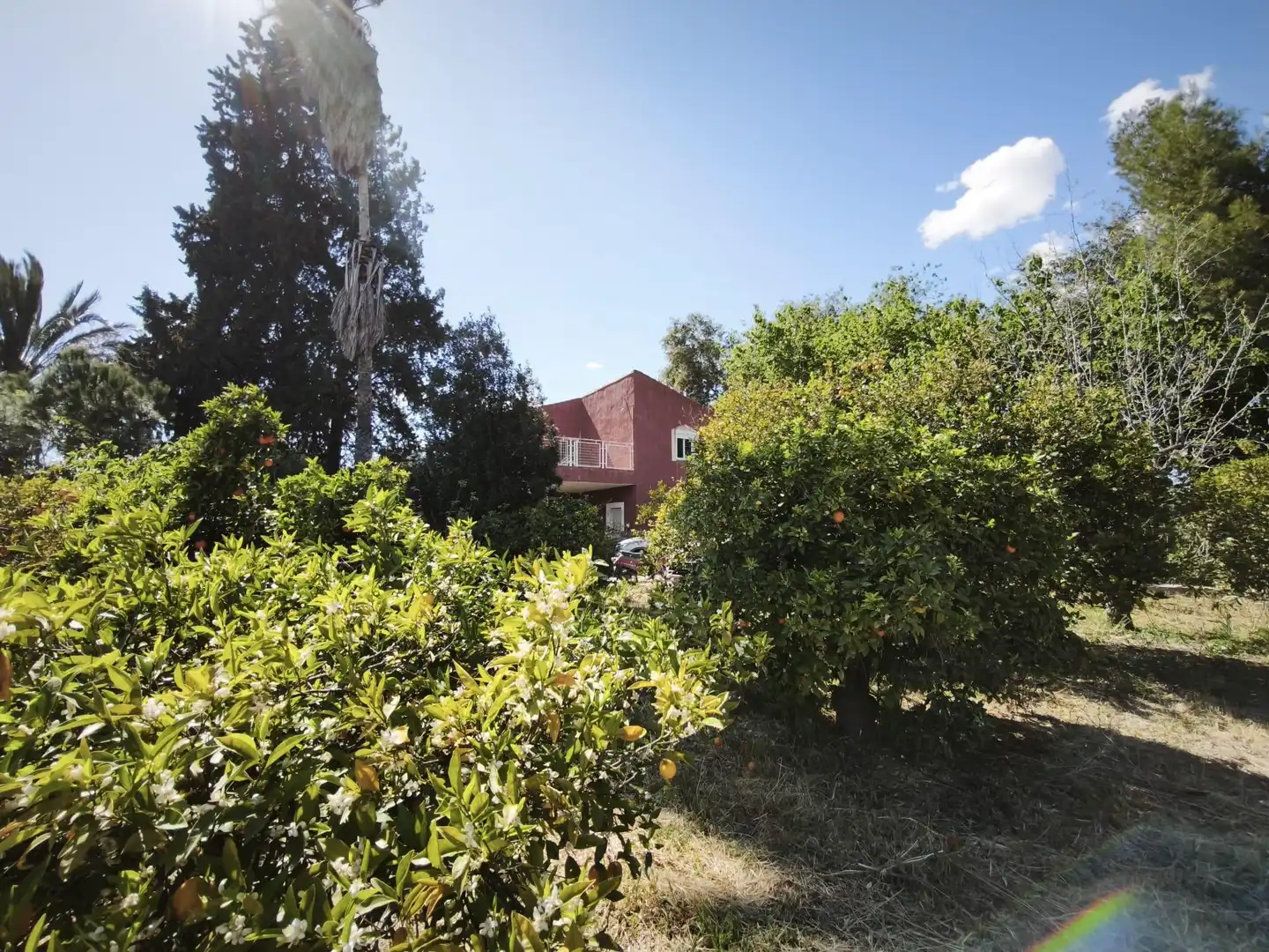 Garden of Houses for sale in Molina de Segura