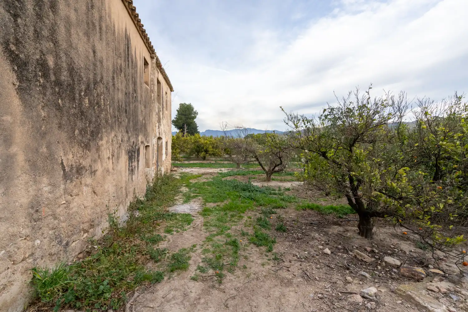 Terrain rustique à vendre à Partida Sant Bernabe 466, imagen 9