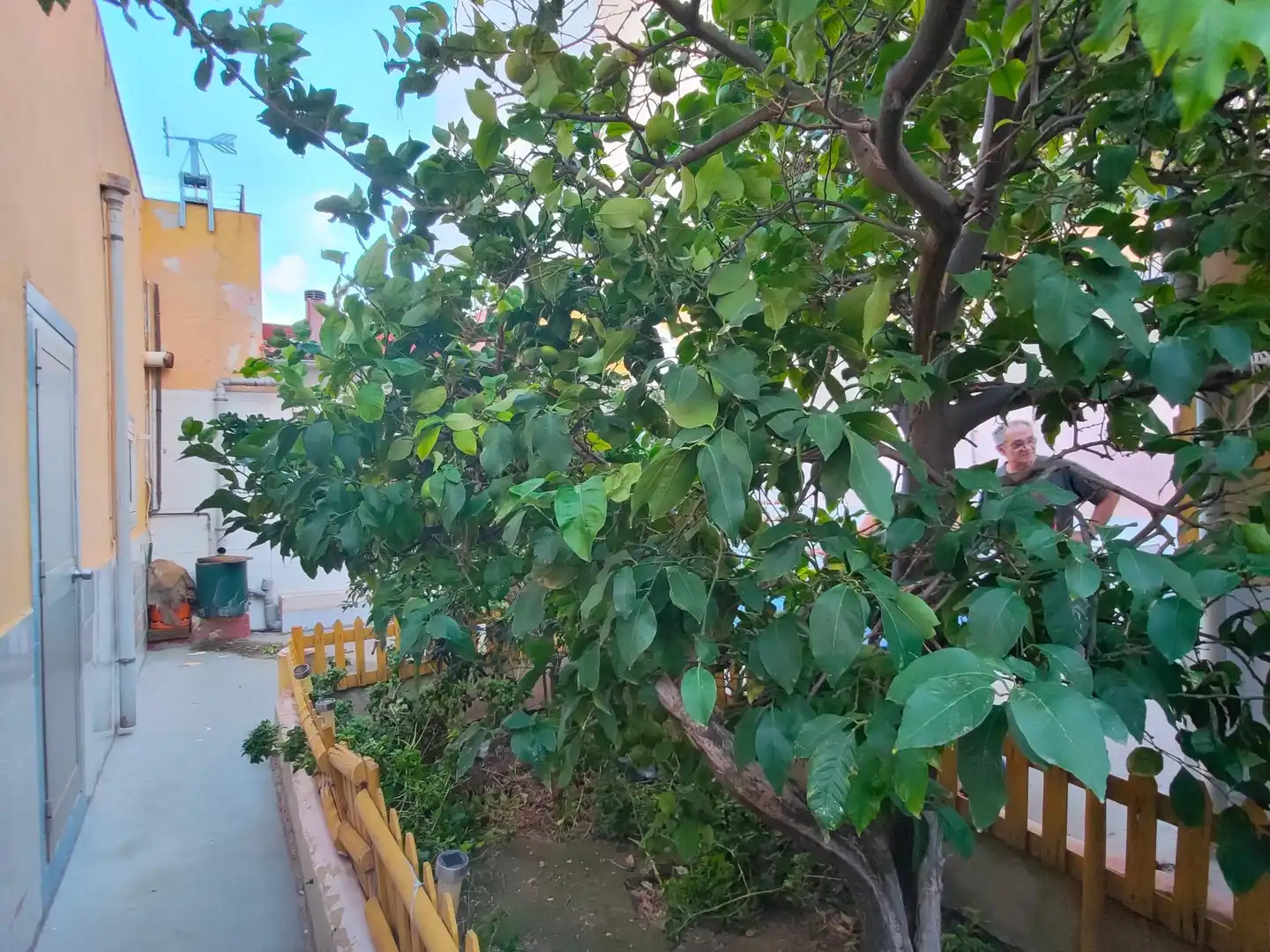 Jardín de Residencial en venta en  Palma de Mallorca