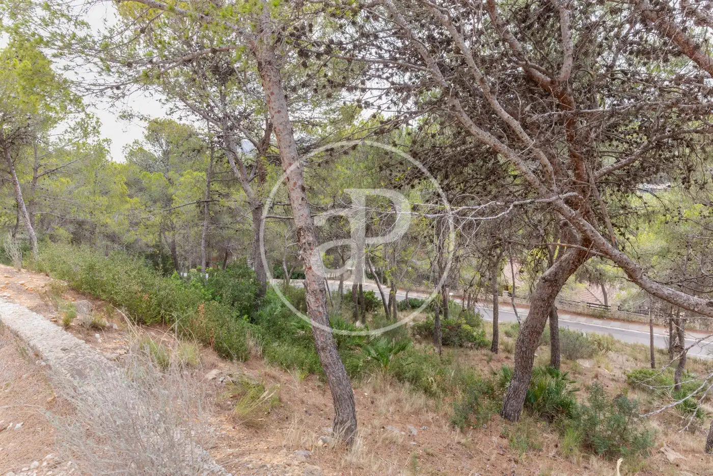 Wohnbaugrundstück zum Verkauf in El Bosque, imagen 15