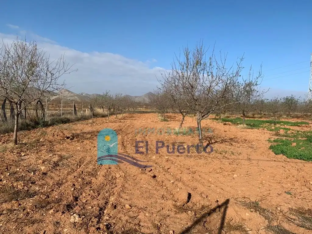 Terreno rústico en venta en Pedanías Oeste, imagen 11