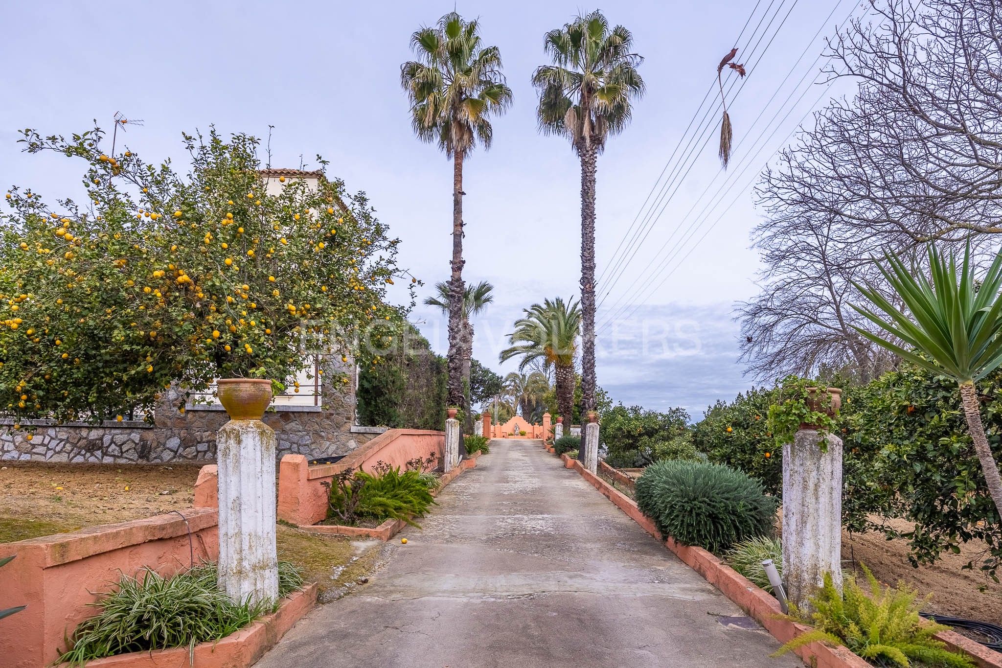 Vista exterior de Finca rústica en venda en Olivares amb Calefacció, Jardí privat i Piscina