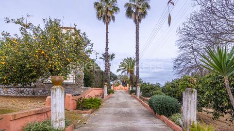Foto 2 de Finca rústica en venda a Olivares, Sevilla