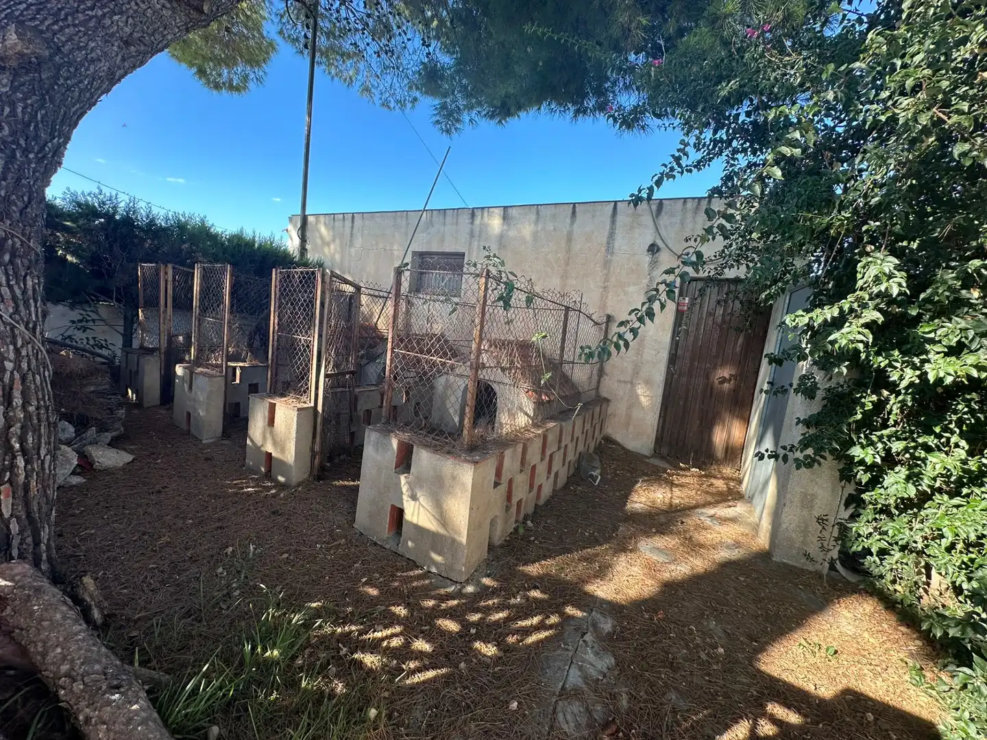 Casa con jardín en venta en Carrer de Plácido Hidalgo Castro, imagen 19