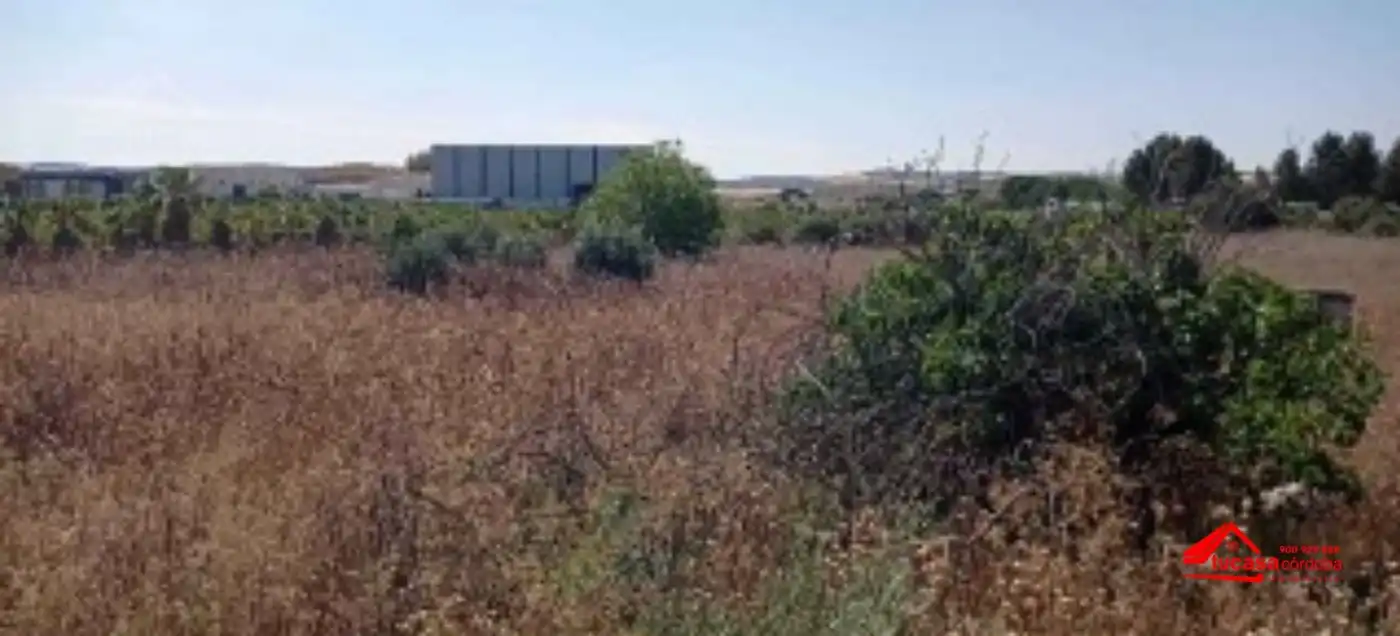 Residential land for sale in El Carpio, imagen 4