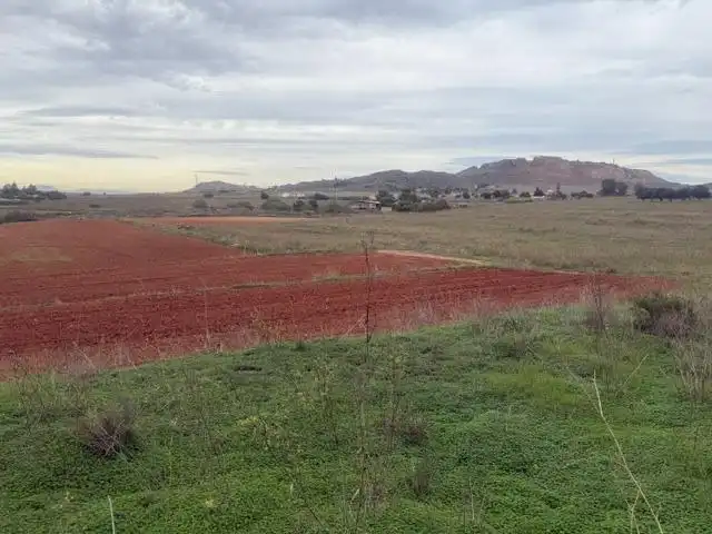 Land for sale in Pedanías Este
