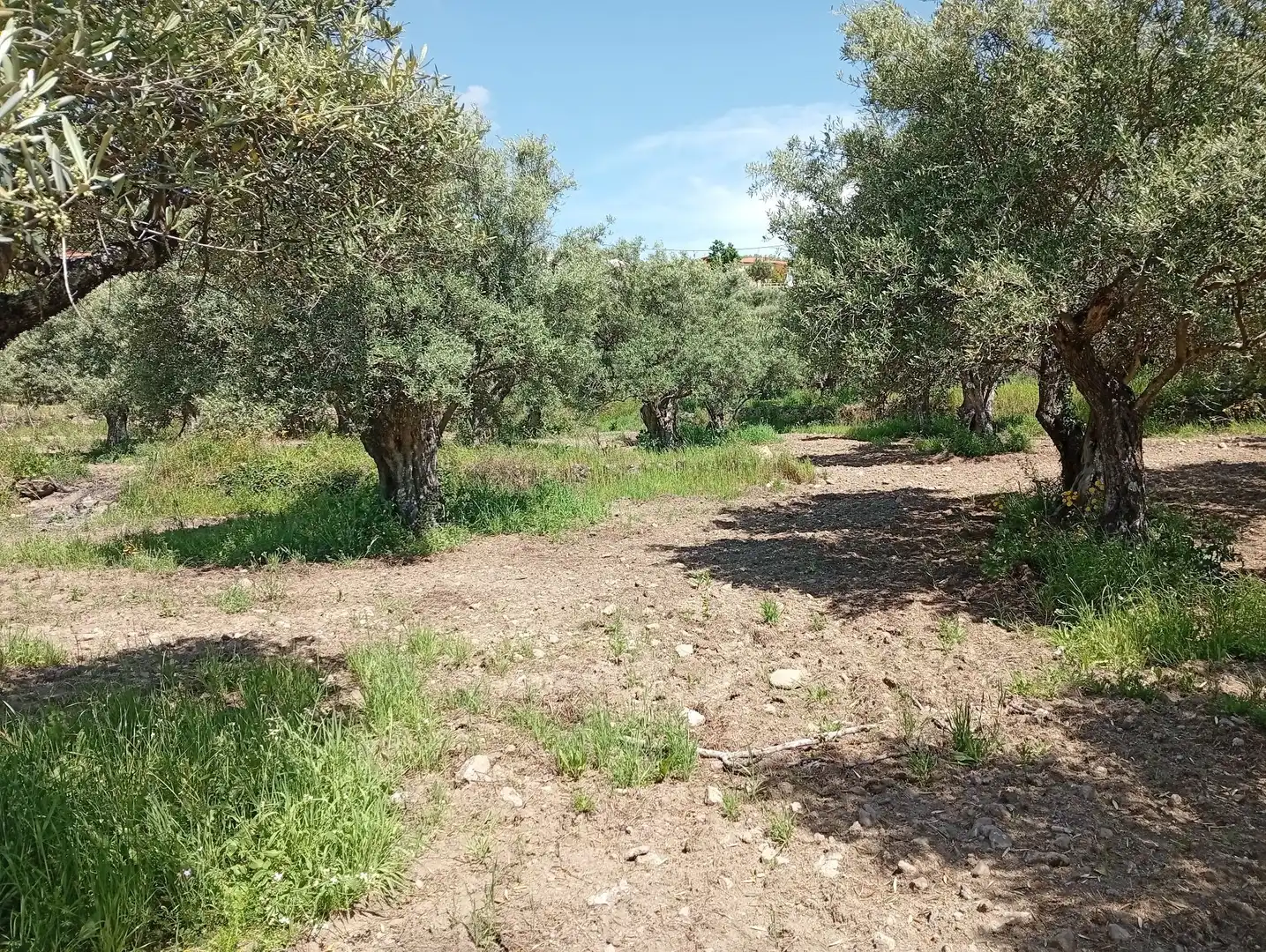 Terreni e lotti in vendita a Villanueva de la Vera, imagen 48