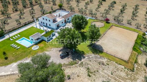 Oasis de paz en medio de un olivar en Espartinas