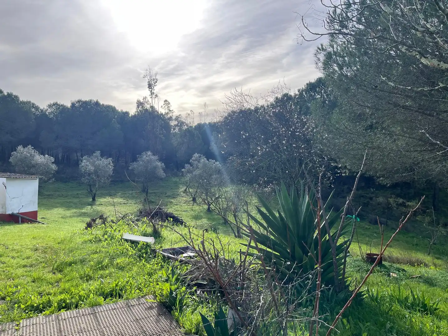 Chalet con jardín en venta en Diseminado Caballon 20, imagen 27