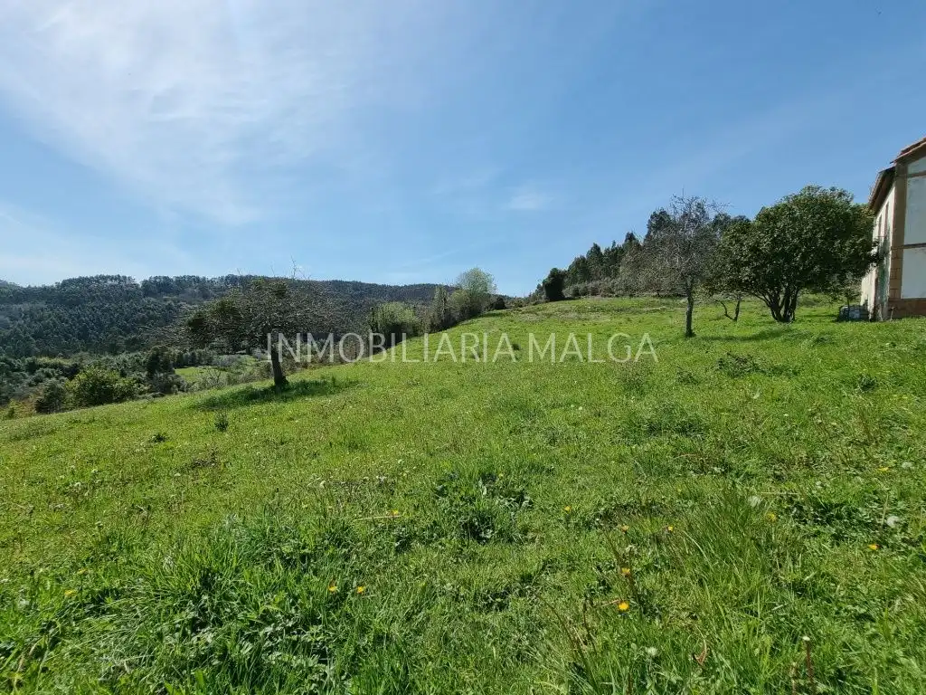 Casa o xalet en venda en Colunga amb Jardí privat i Traster