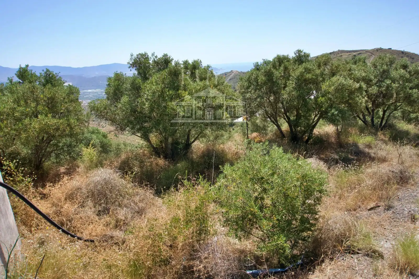 Terreny rústic en venda a Paraje El Poyetón, imagen 7