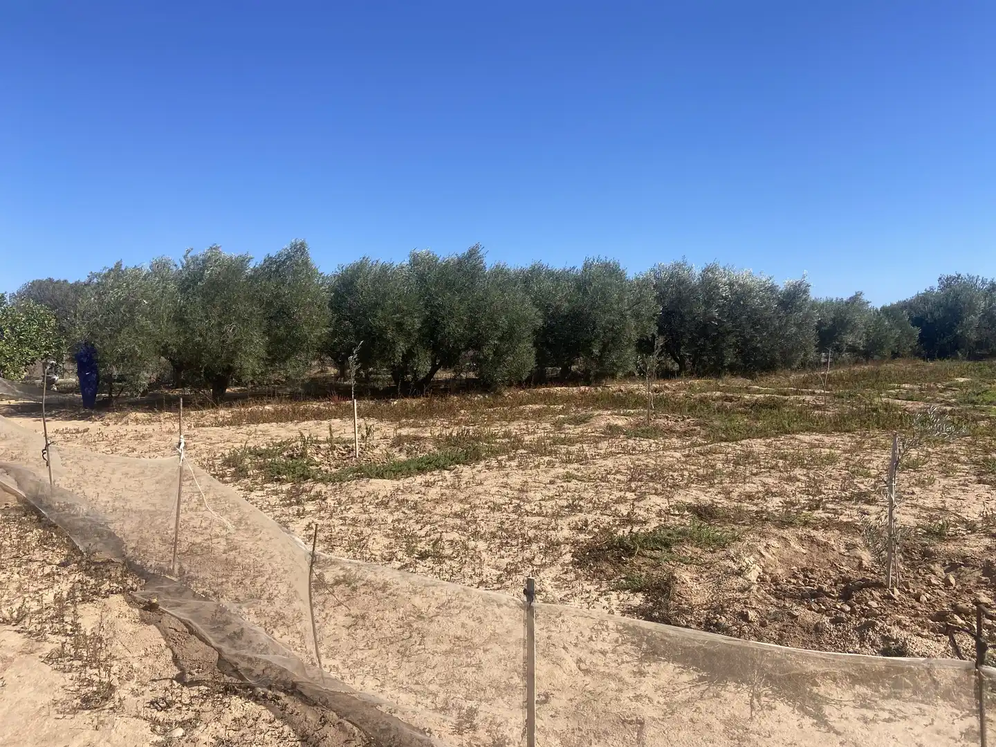 Land for sale in Cartagena