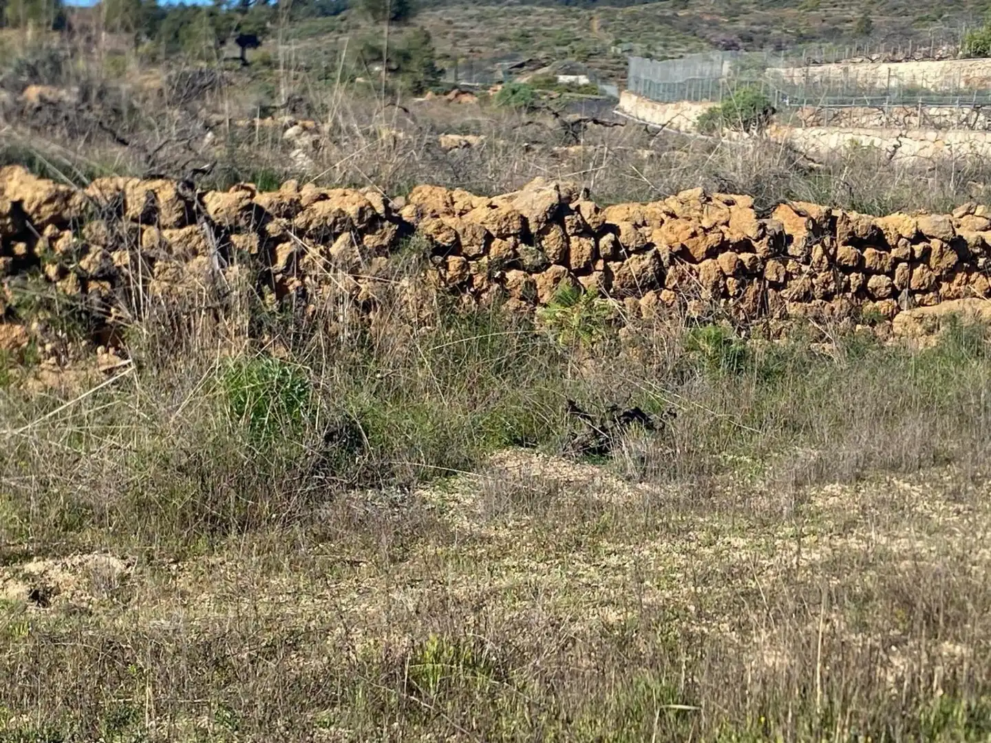 Land for sale in Granadilla de Abona
