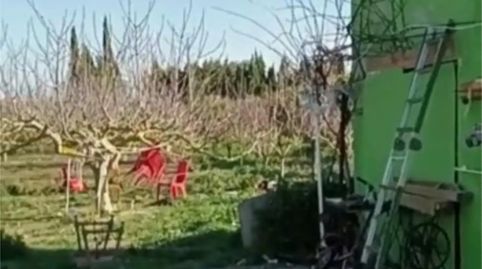 Foto 4 de Finca rústica en venda a Ma-3421, 1, Sa Pobla, Illes Balears