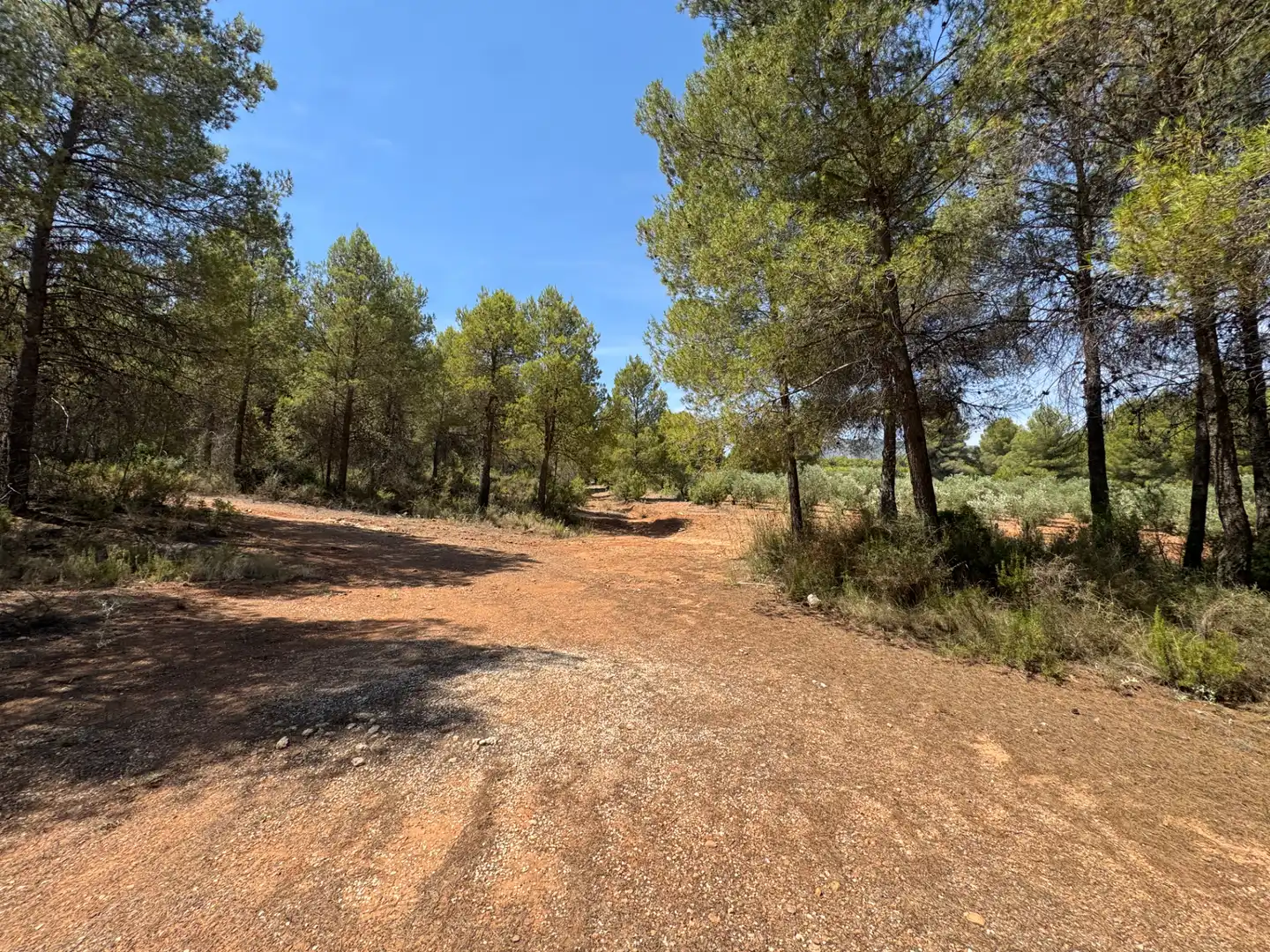 Rural land for sale in N/A, imagen 58