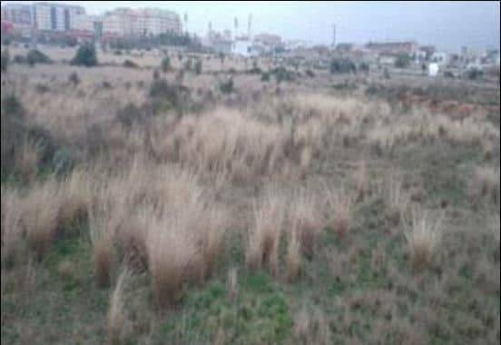 Terreno residencial en Venta en Pau Lledó