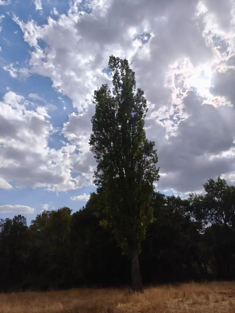 Jardín de Terreno en venta en Piñuécar-Gandullas