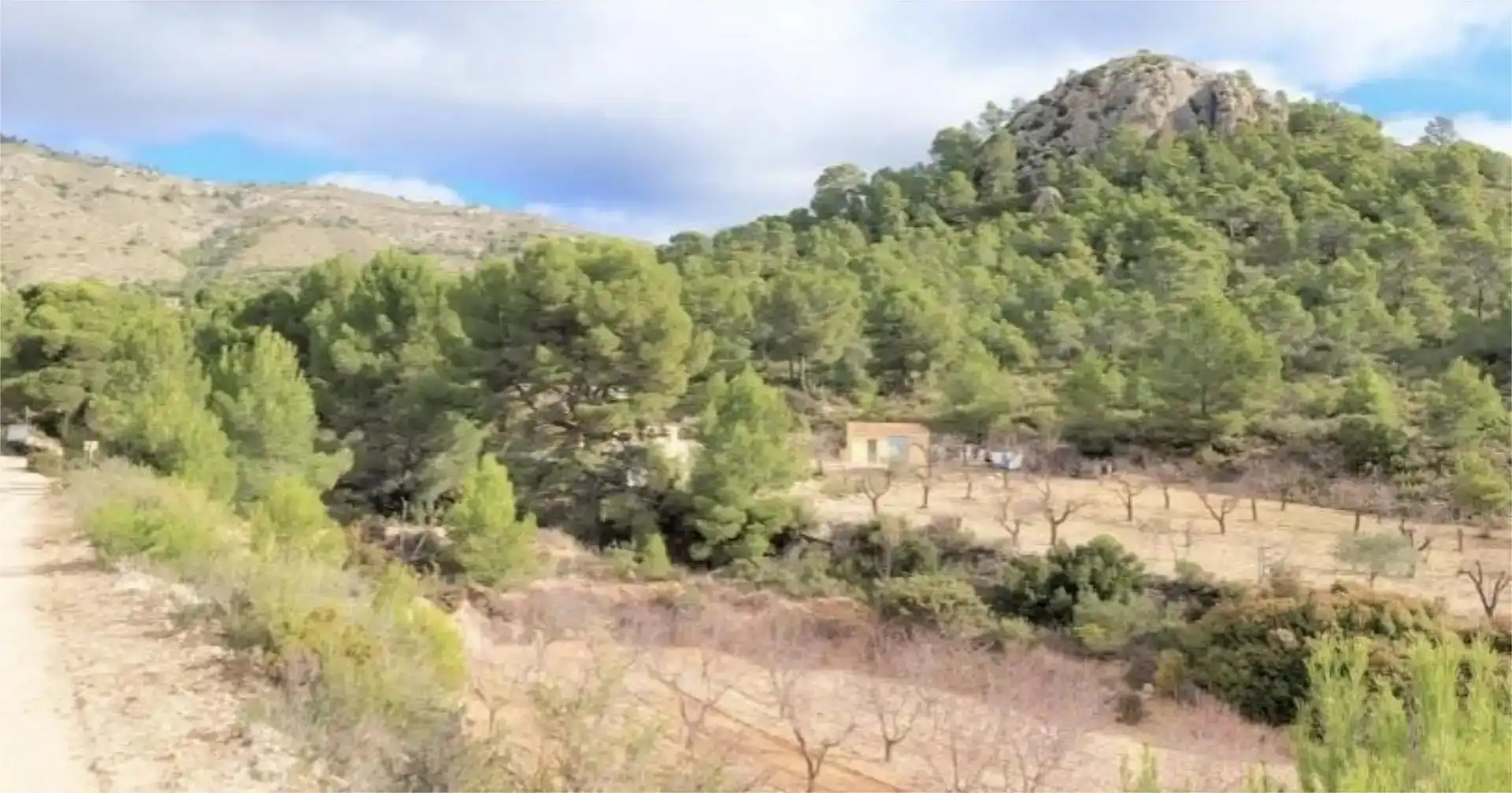 Finca rústica en venta en Villena con Piscina y Balcón