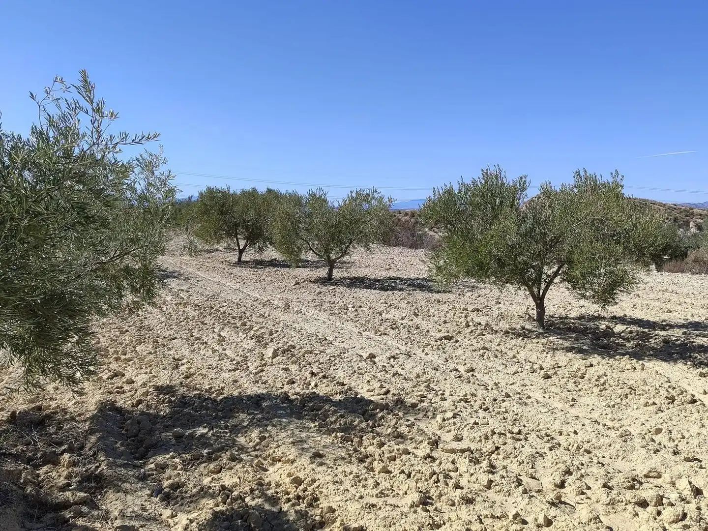 Lands and plots for sale in Abanilla, imagen 9