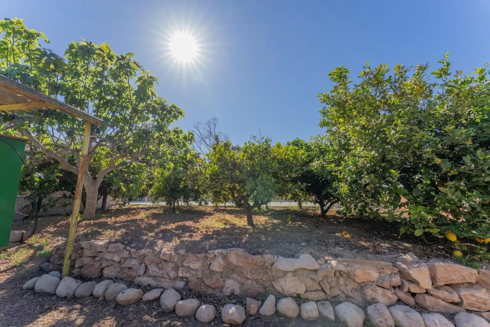 Garden of Houses for sale in Elche / Elx  with Private garden, Terrace and Swimming Pool