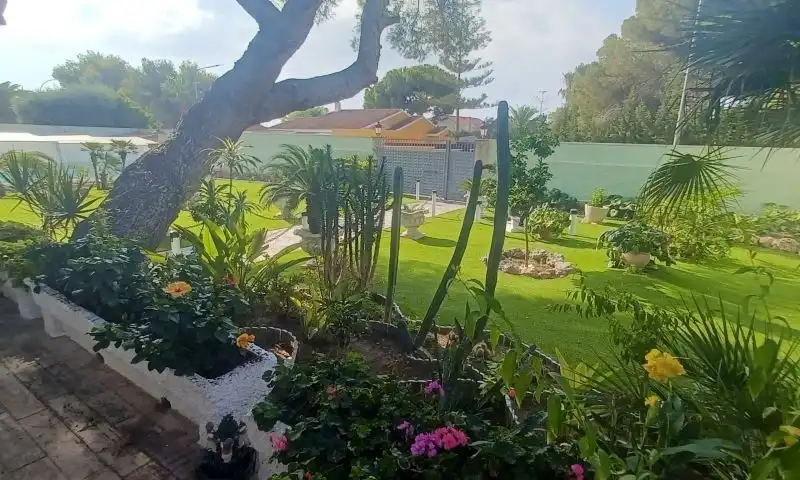 Chalet con piscina en venta en Calle  Pablo Neruda-Campoamor, imagen 35