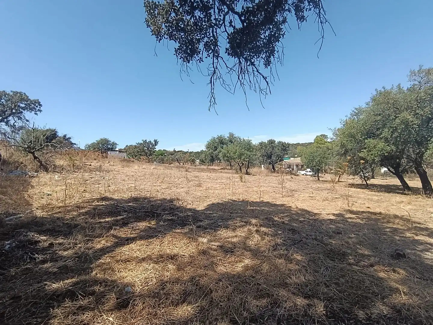 Terreni e lotti in vendita a Castilblanco de los Arroyos, imagen 11