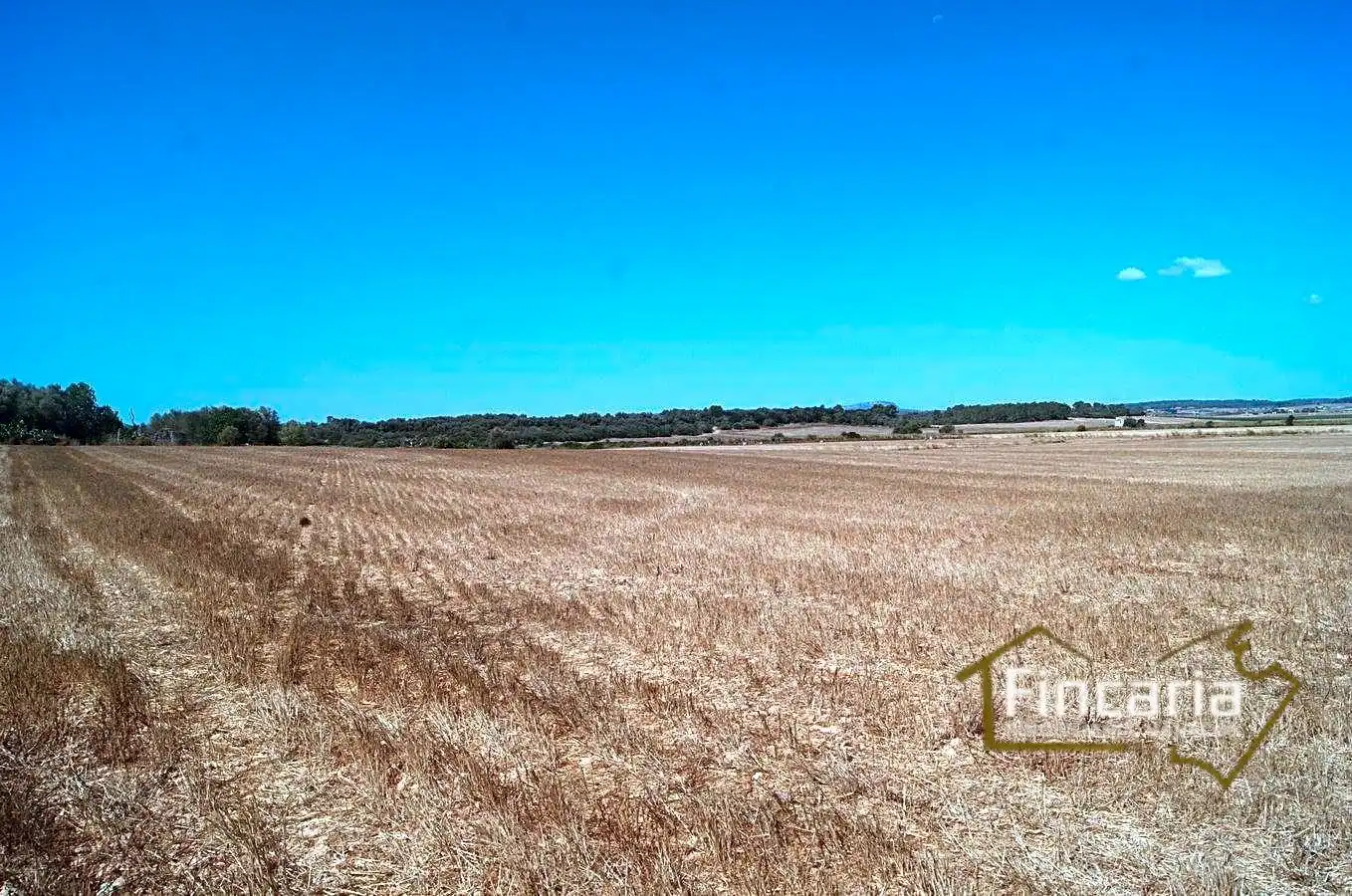 Residencial en venta en Vilafranca de Bonany
